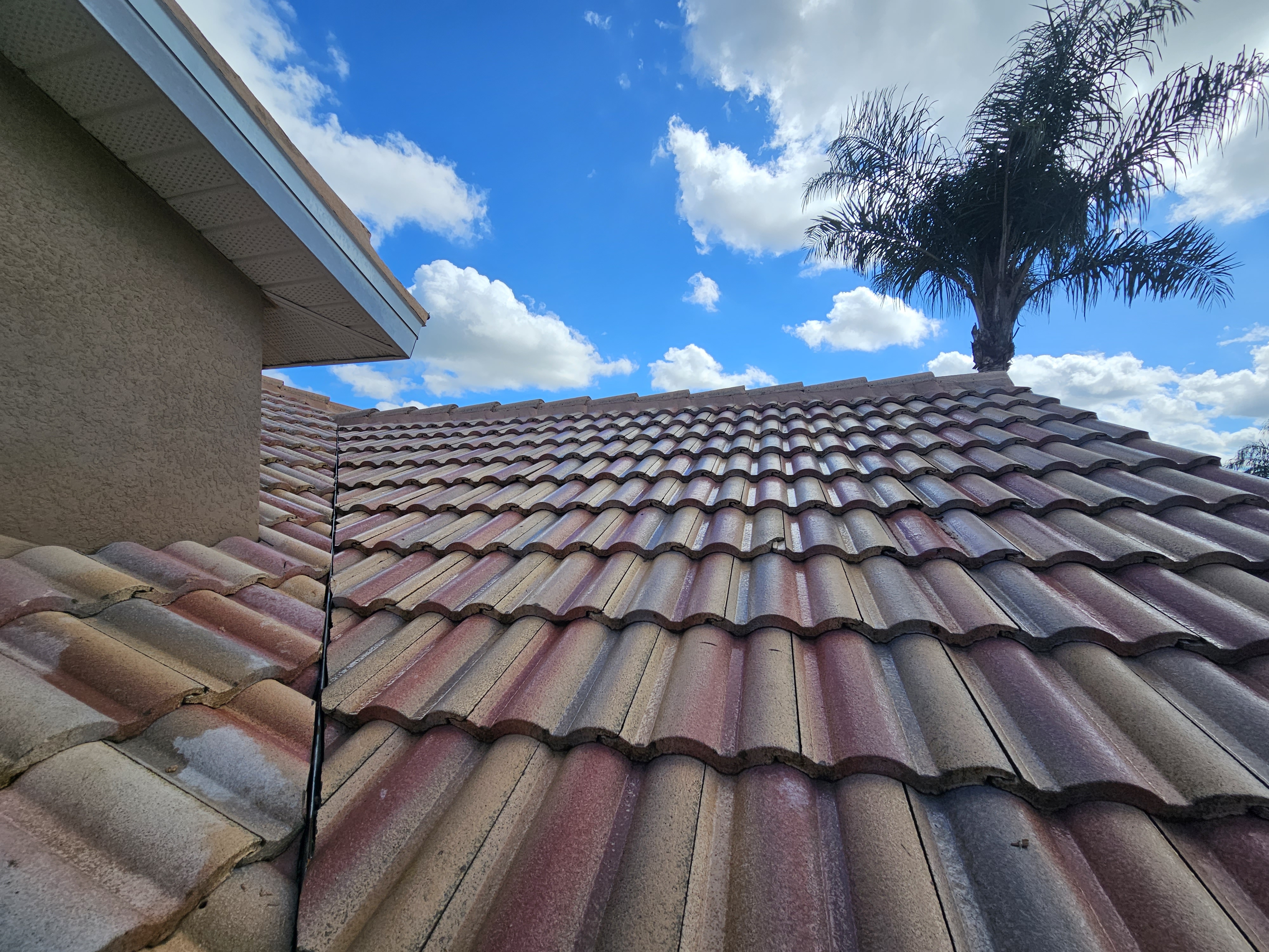 Tile Roof Cleaning Fort Myers, FL  Thumbnail
